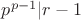 $p^{p-1}|r-1$