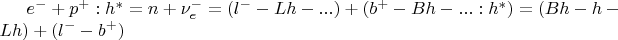 $e^- + p^+:h^* = n + \nu_e^- =  (l^--Lh-...) + (b^+-Bh-...:h^*) = (Bh-h-Lh) + (l^--b^+)$
