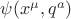 $\psi(x^{\mu}, q^{a})$