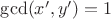 $\gcd(x',y')=1$