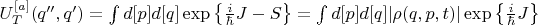 $U^{[a]}_{T}(q'',q')=\int{d[p]d[q]\exp\left\{\frac{i}{\hbar} J - S \right\}}=\int{d[p]d[q]\vert \rho(q,p,t) \vert \exp\left\{\frac{i}{\hbar} J \right\}}$