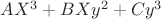 $A X^3+BXy^2+Cy^3$