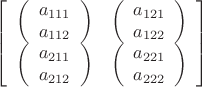 $$\[
\left[ {\begin{array}{*{20}c}
   {\left( {\begin{array}{*{20}c}
   {a_{111} }  \\
   {a_{112} }  \\

 \end{array} } \right)} & {\left( {\begin{array}{*{20}c}
   {a_{121} }  \\
   {a_{122} }  \\

 \end{array} } \right)}  \\
   {\left( {\begin{array}{*{20}c}
   {a_{211} }  \\
   {a_{212} }  \\

 \end{array} } \right)} & {\left( {\begin{array}{*{20}c}
   {a_{221} }  \\
   {a_{222} }  \\

 \end{array} } \right)}  \\

 \end{array} } \right]
\]
$$