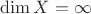 $\mathrm{dim}\,X=\infty$