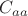 $C_{aa}$