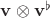 $\mathbf v\otimes\mathbf v^\flat$