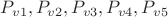 $P_{v 1}, P_{v 2}, P_{v 3}, P_{v 4}, P_{v 5}$