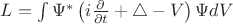 $L=\int \Psi^*\left(i\frac{\partial }{\partial t}+\triangle-V\right)\Psi dV$