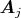 $\boldsymbol{A}_j$
