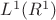 $L^1(R^1)$