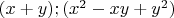 $(x+y); (x^2-xy+y^2)$
