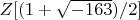 $Z[(1+\sqrt{-163})/2]$