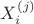 $X_i^{(j)}$