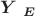 \boldsymbol{Y} _{ \boldsymbol{E} } \boldsymbol{Y} _{ \boldsymbol{E} }
