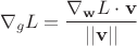 $$\nabla_g L = \dfrac{\nabla_{\bold{w}} L \cdot \bold{v}}{||\bold{v}||}$$