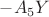 $-A_5Y$