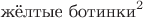 $\text{жёлтые ботинки}^2$