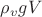 $\rho_{v} g V$