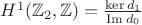 $H^1(\mathbb{Z}_2,\mathbb{Z})=\frac{\ker d_1}{\operatorname{Im} d_0}$