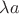 $\lambda a$
