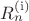 $R_n^{\operatorname{(i)}}$