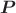 $\boldsymbol{P} $