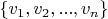 $\{v_1, v_2, ..., v_n\}$