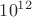 ${10}^{12}$ ${10}^{12}$