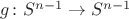 $g\colon S^{n-1}\to S^{n-1}$