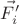 $\vec{F_i'}$