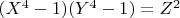 $(X^4-1)(Y^4-1)=Z^2$