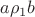 $a\rho_1b$