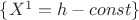 $\{X^1=h-const\}$