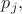 $p_{j},$