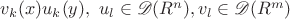 $v_k(x)u_k(y), \ u_l \in \mathscr{D}(R^n), v_l\in \mathscr{D}(R^m)$