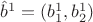$\hat b^1=(b^1_1,b^1_2)$