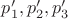 $p'_1, p'_2, p'_3$