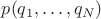 $p(q_1,\ldots,q_N)$