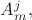 $A_{m}^j,$