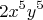 \[
2x^5 y^5 
\]