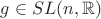 $g \in SL(n,\mathbb{R})$
