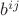 $b^{ij}$