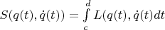 $ S(q(t), \dot q(t) ) = \int\limits_c^d L(q(t), \dot q(t) dt $