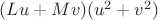 $(Lu+Mv)(u^2+v^2)$ $(Lu+Mv)(u^2+v^2)$