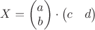 $X=\begin{pmatrix}a\\b\end{pmatrix}\cdot \begin{pmatrix}c&d\end{pmatrix}$