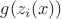 $g(z_i(x))$