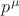 $p^\mu$