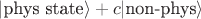 $|\text{phys~state}\rangle+c|\text{non-phys}\rangle$