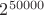 $2^{50000}$