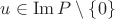 $u\in\operatorname{Im}P\setminus\{0\}$